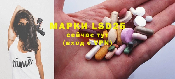 трава Лабытнанги