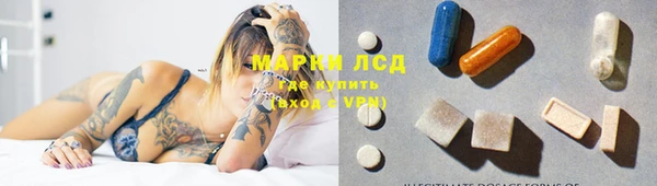 индика Кукмор