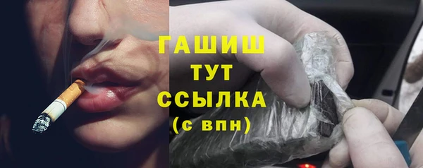 индика Кукмор