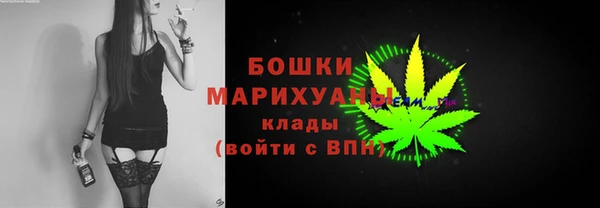 индика Кукмор