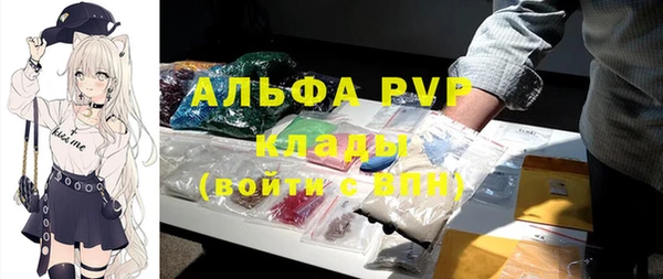 индика Кукмор