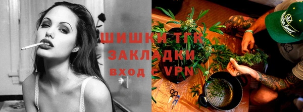 индика Кукмор