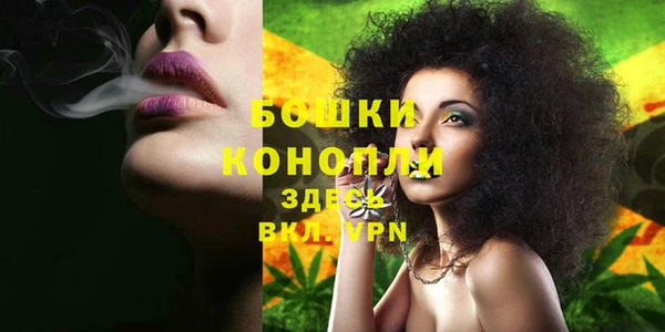 индика Кукмор