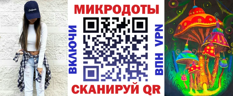 Псилоцибиновые грибы Psilocybe  Наволоки 