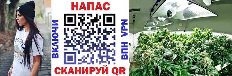 Бошки марихуана ГИДРОПОН  Наволоки 